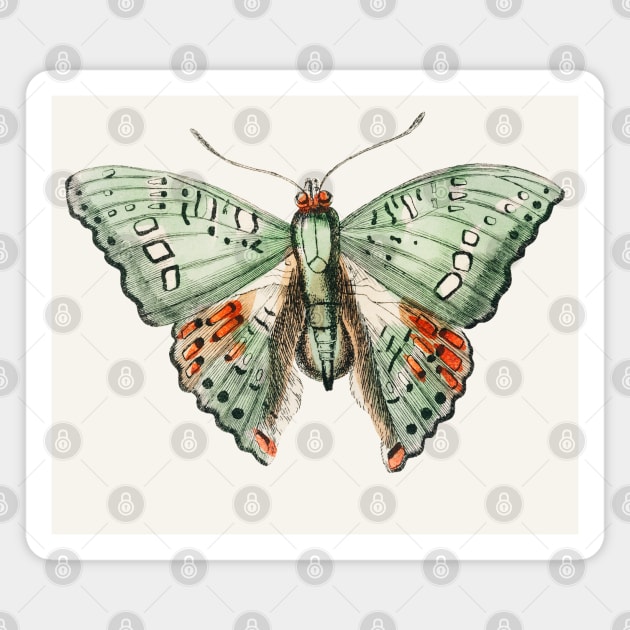 Green Butterfly Magnet by CatyArte
